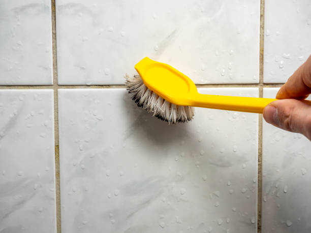 Trusted Springfield, MO Mold Removal Experts