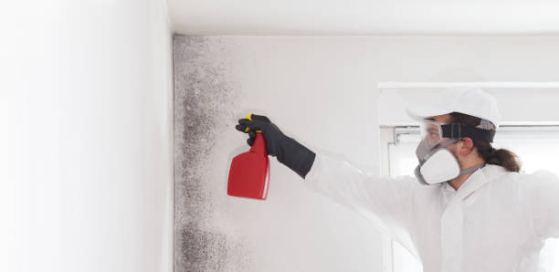 Best Residential Mold Removal  in Springfield, MO
