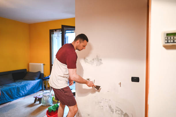 Best Local Mold Removal Service  in Springfield, MO